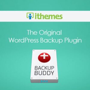iThemes BackupBuddy WordPress Plugin  8.8.4