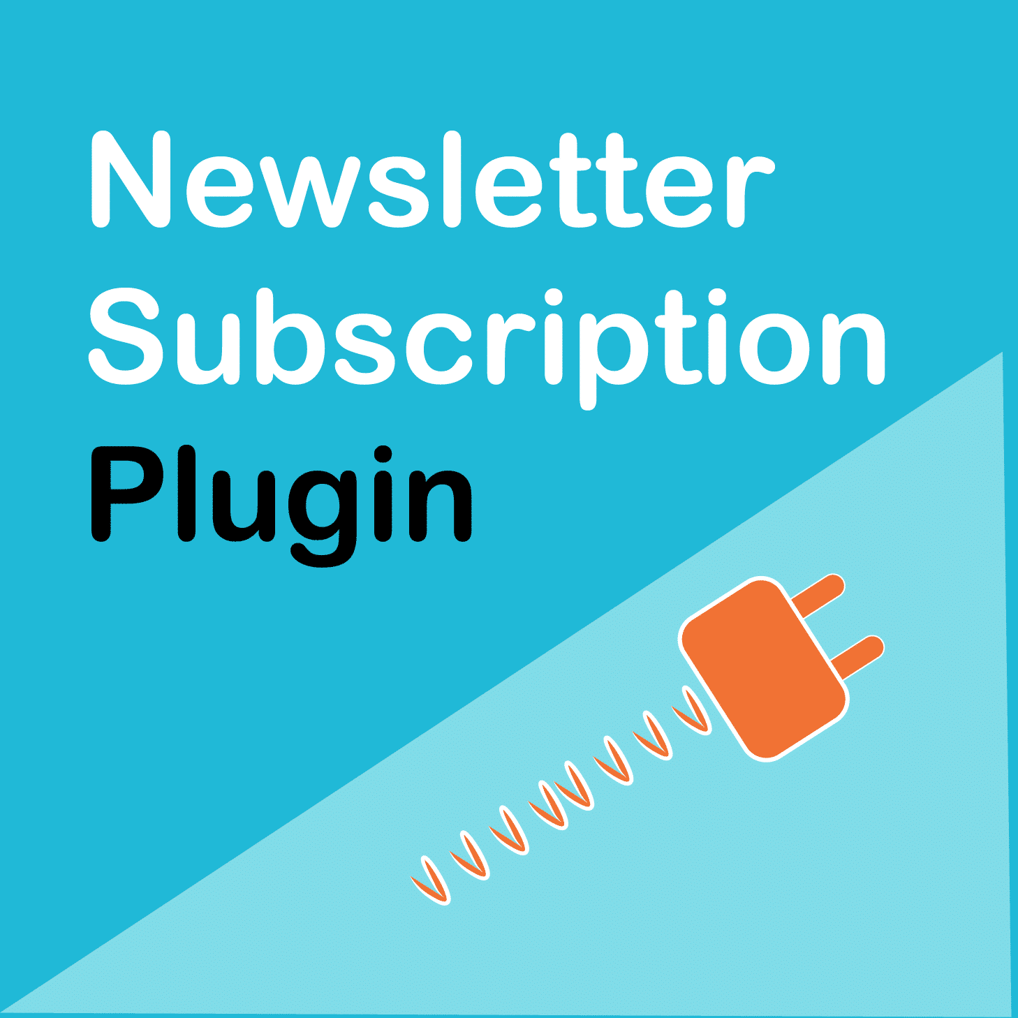 WooCommerce Newsletter Subscription Plugin