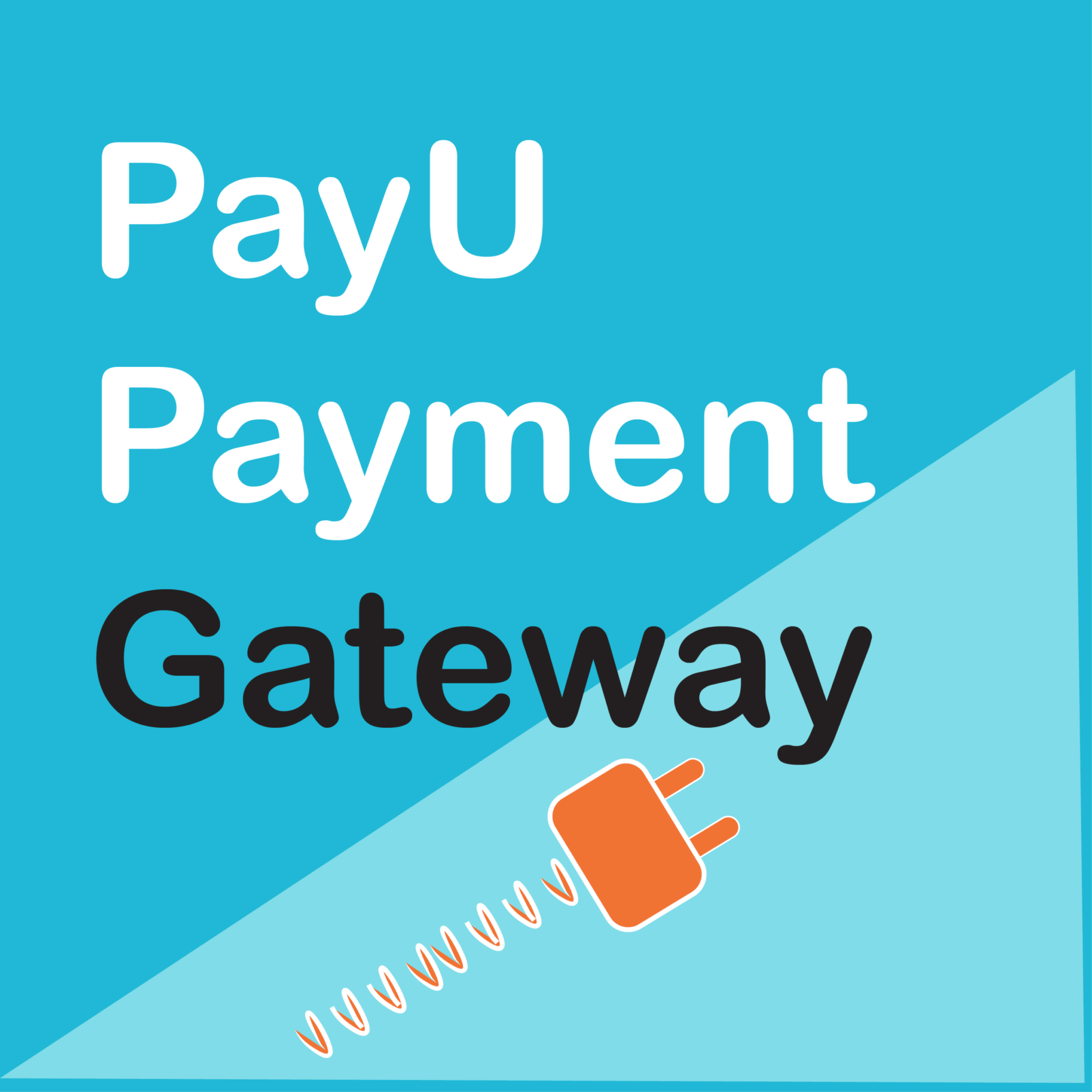 WooCommerce PayU Payment Gateway 1