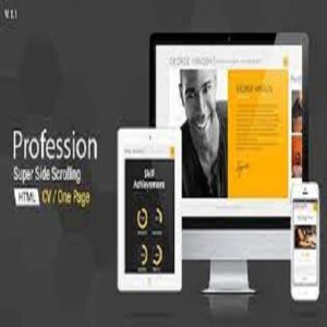 PROFESSION – ONE PAGE CV RESUME THEME 2.9.4
