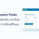 add custom fields automatically in WordPress og 1 1