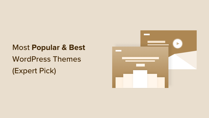 most popular and best wordpress themes og 1